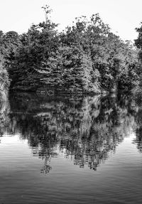 Reflection of trees in lake against sky