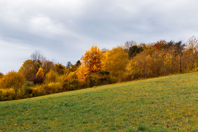 Trees on field against sky during autumn