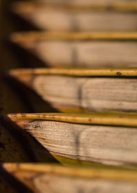 Full frame shot of  brown coconut leaf 