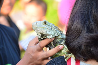 Close-up of woman with iguana