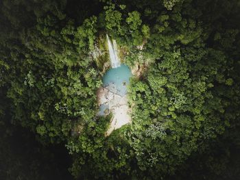 Aerial view of waterfall forest