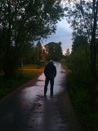 Rear view of people walking on road along trees