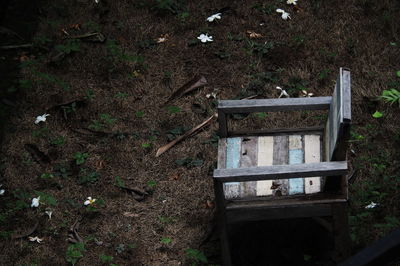 High angle view of an animal on field