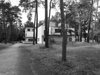 Empty road amidst trees and buildings in city