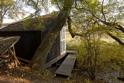 Abandoned house amidst trees in forest against sky