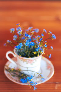 Close-up of potted plant on table