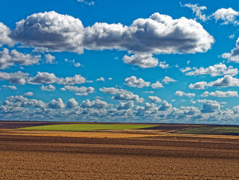 Scenic view of agricultural field against sky