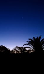 Low angle view of silhouette trees against blue sky