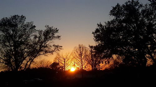 Silhouette trees against sky during sunset