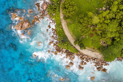 High angle view of plants by sea