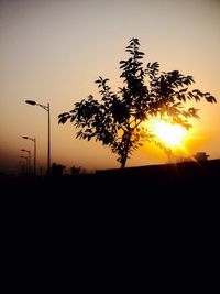 Silhouette of trees at sunset