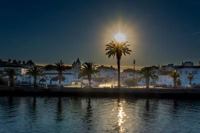 Scenic view of palm trees against sky at sunset