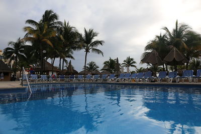 Palm trees by swimming pool against sky