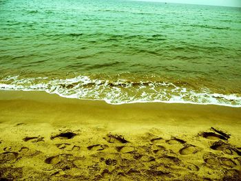 Scenic view of beach