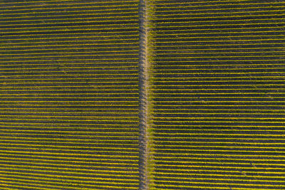 Full frame shot of multi colored wall