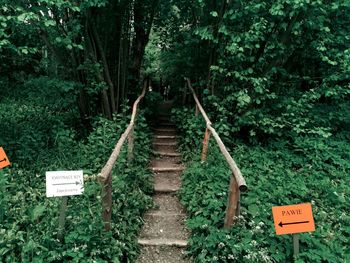 Road sign amidst trees in forest