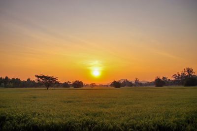 Scenic view of field against sky during sunset