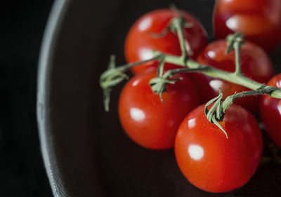 Close-up of cherry tomatoes in plate