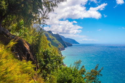 Napaii cost view from kalalau trail. kauai