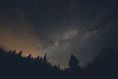 Low angle view of star field against star field