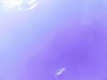 Close-up of butterfly on flower against sky