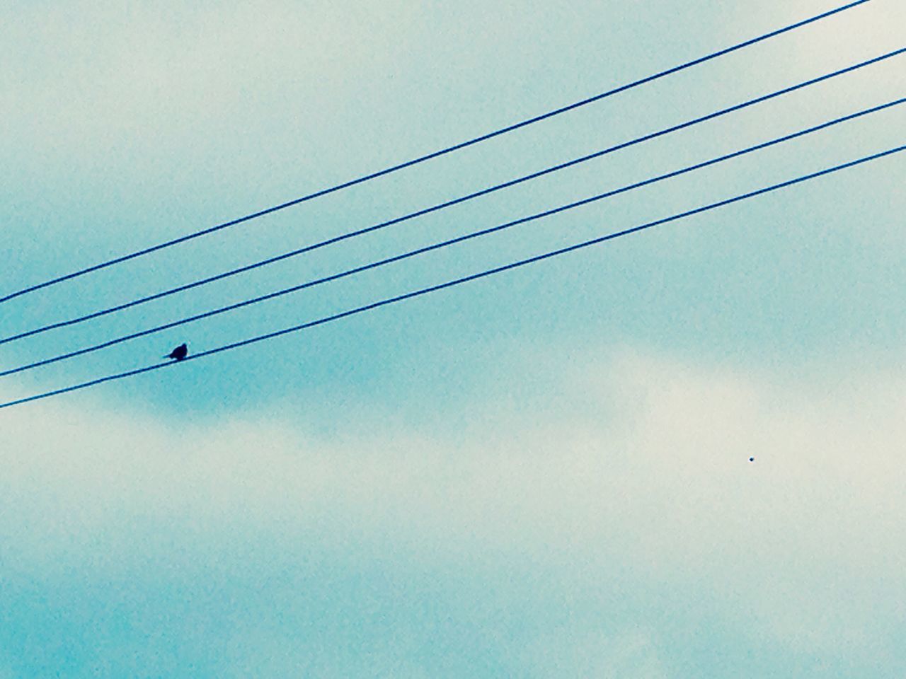 low angle view, power line, cable, electricity, power supply, sky, connection, electricity pylon, power cable, technology, fuel and power generation, cloud - sky, no people, day, outdoors, cloud, blue, street light, clear sky, nature