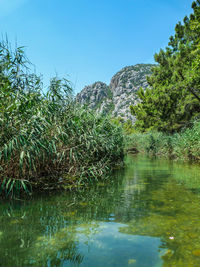 Scenic view of lake against clear sky