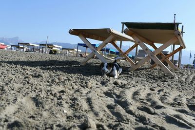 View of beach against clear blue sky