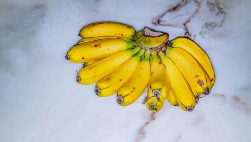 High angle view of yellow fruit on snow