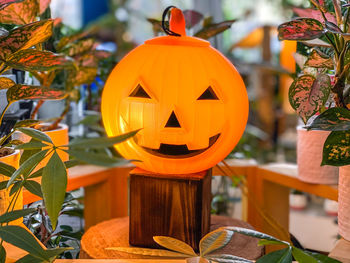 Close-up of halloween pumpkin on plants during autumn