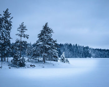 Icy finland