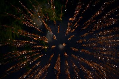 Low angle view of firework display