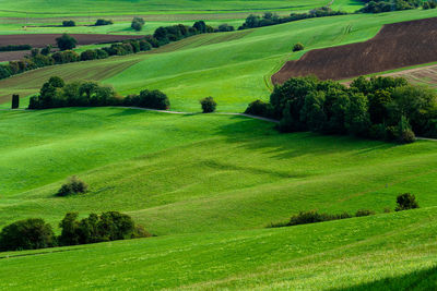 View from fürstenberg hill