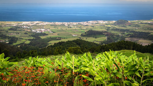 Scenic view of ribeira grande on sao miguel island, azores, portugal, seen from bela vista viewpoint