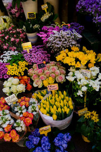 Various flowers for sale at store