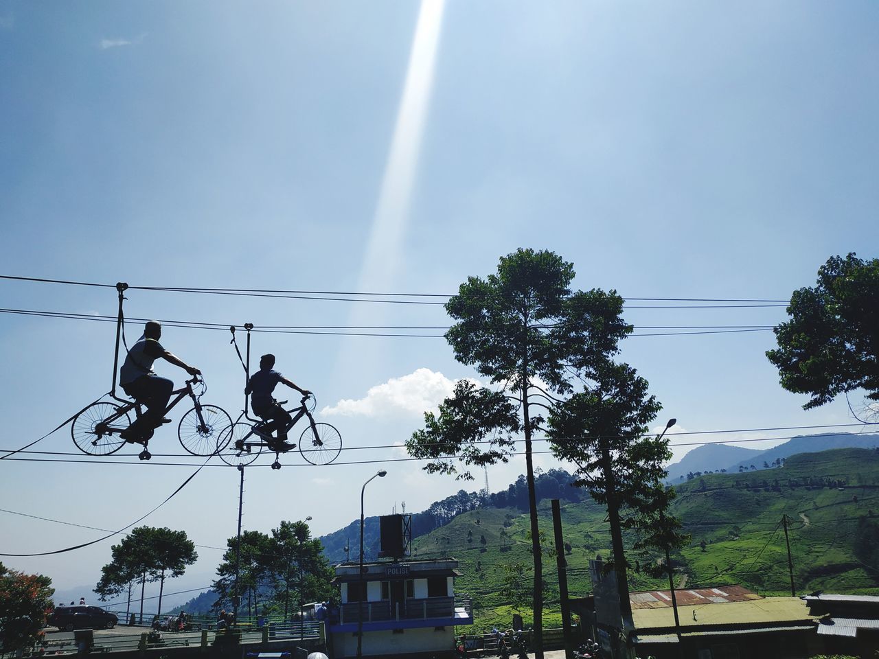 LOW ANGLE VIEW OF TREES BY MOUNTAINS AGAINST SKY