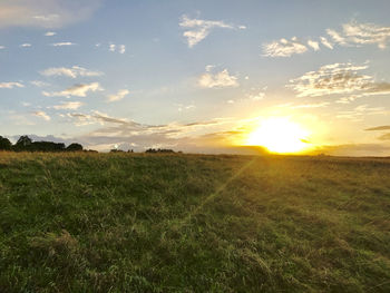 Scenic view of field against sky during sunset