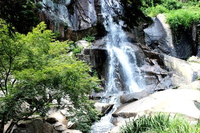 View of waterfall in forest