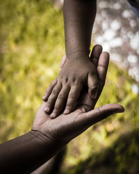 Cropped hands of child with parent