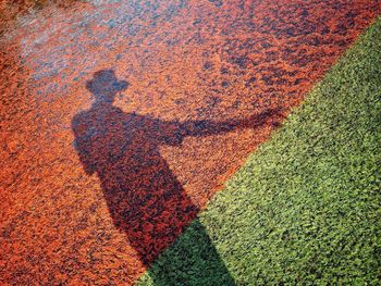 Shadow of man on wall