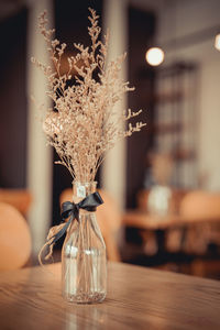 Close-up of houseplant in vase on table