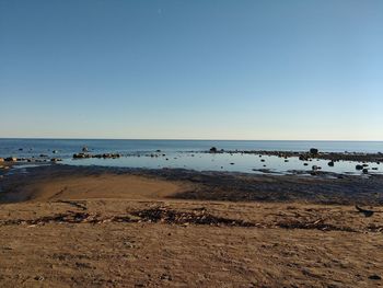 Scenic view of beach against clear sky