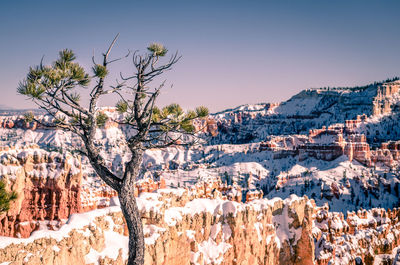 Panoramic view of snowcapped mountains against sky
