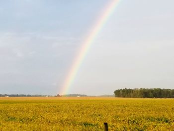 Scenic view of rainbow over field