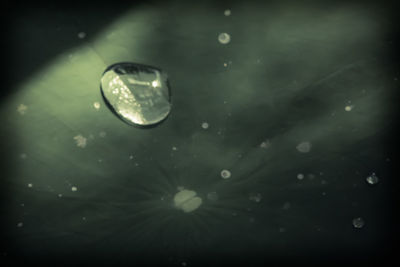 Close-up of water drops on leaf