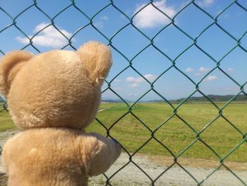 Close-up of sheep on chainlink fence against sky