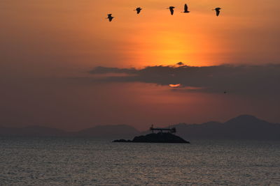 Silhouette birds on sea against sky during sunset