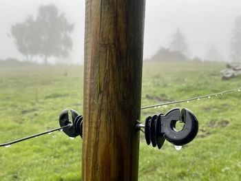 Close-up of wooden post on field