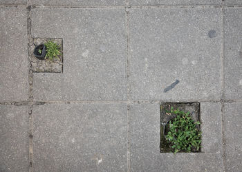 road surface