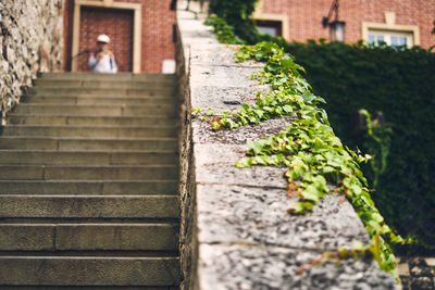 Rear view of person standing on staircase by building